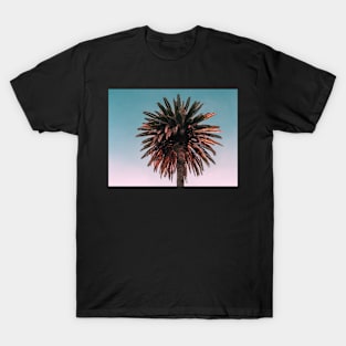 Palm trees, Tropical landscape palms, Sky, Nature print T-Shirt